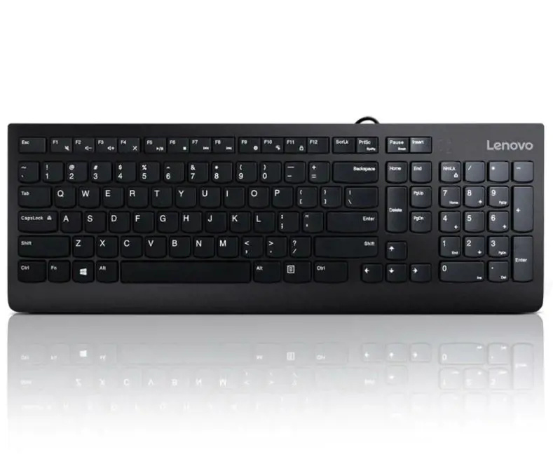 Lenovo 300 USB Klávesnice GX30M39663 Černá