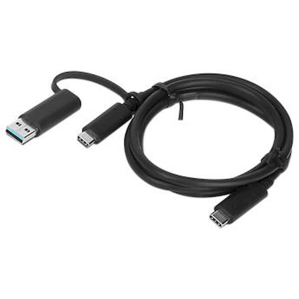 Lenovo Hybrid USB-C 03X7470 Černá
