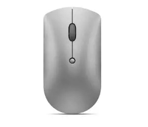Lenovo GY50X88832 Stříbrná