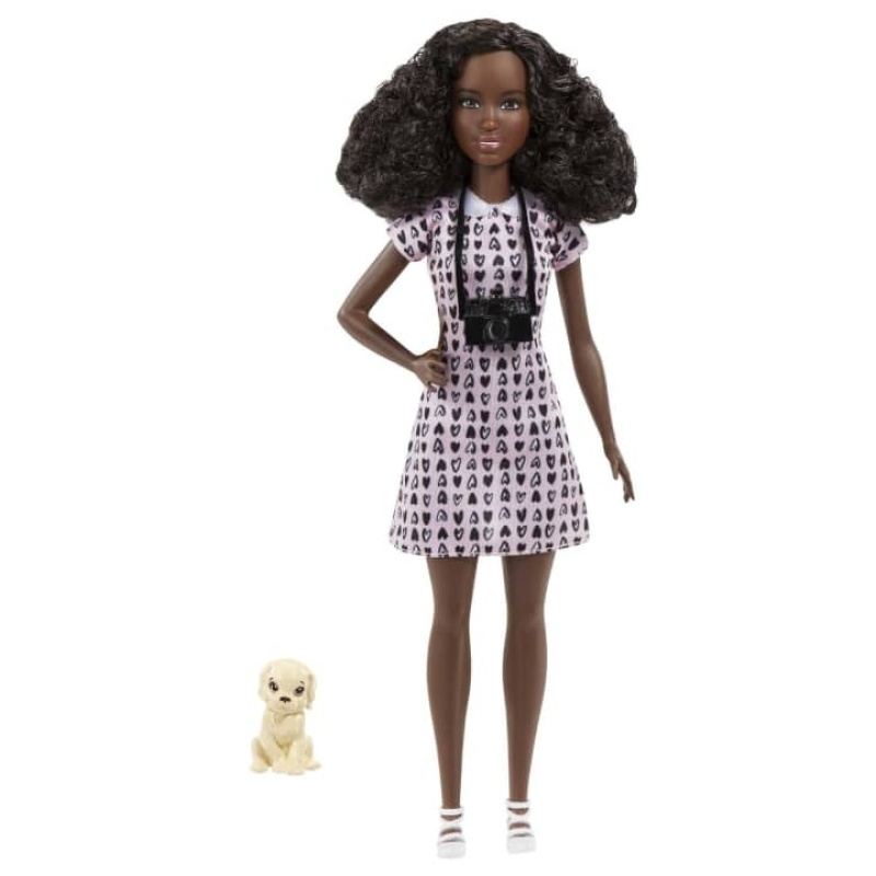 Mattel barbie zvířecí fotografka, hcn10