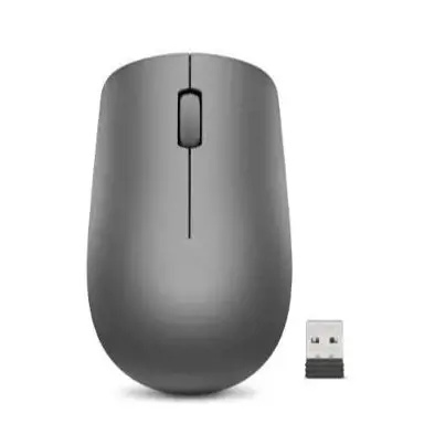 Lenovo GY50Z49089