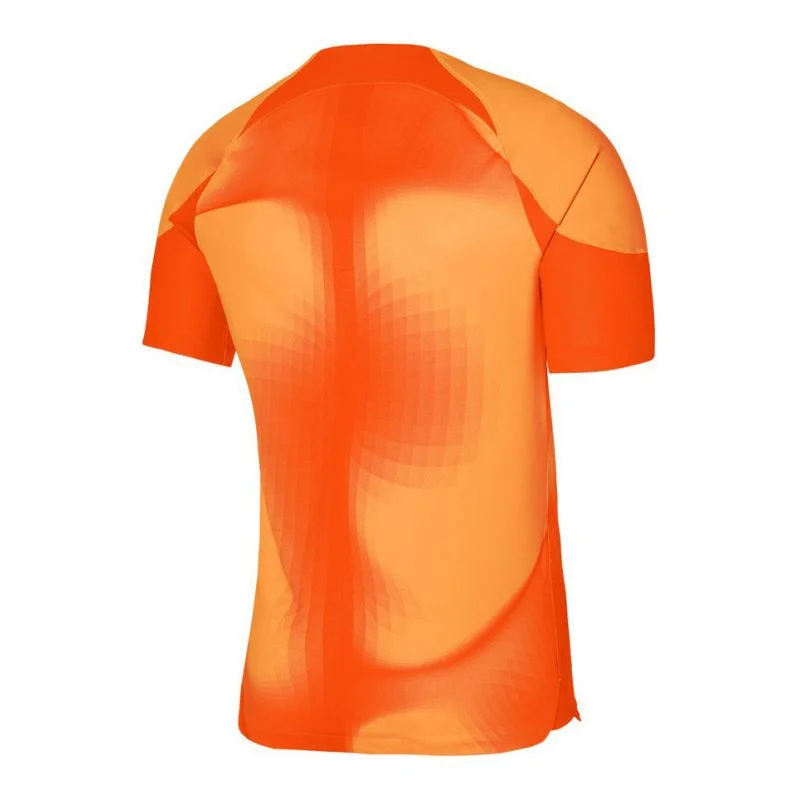 Pánské brankářské tričko Dri-FIT ADV Gardien 4 M DH7760-819 - Nike XXL (193 cm)