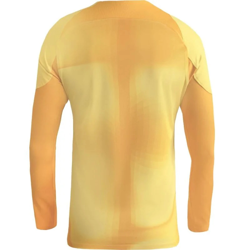 Pánský brankářský dres Gardien IV JSY M DH7967 719 - Nike S