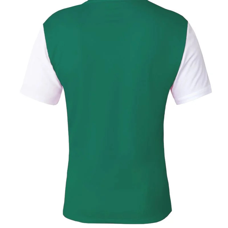 Pánské boty Dri-Fit Tiempo Premier 2 M DH8035 302 - Nike S