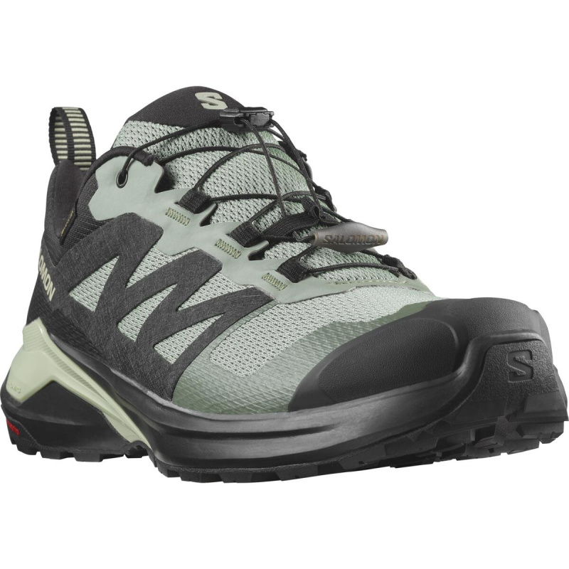 Salomon X ADVENTURE GTX EU 46, Lily Pad/Black/Desert Sage Pánské boty