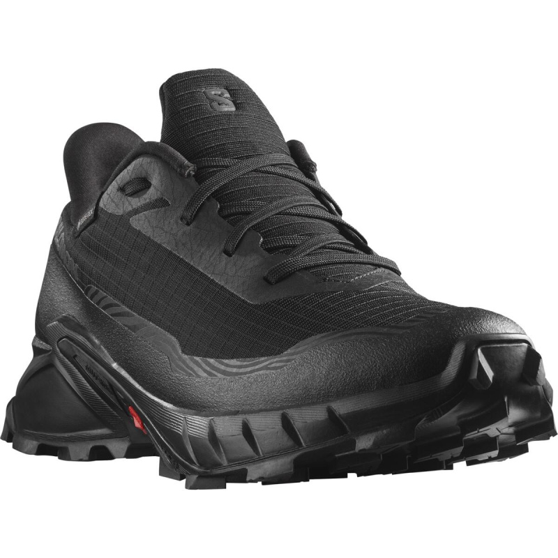 Salomon Alphacross 5 GTX EU 38 ⅔, Black/Black/Ebony Dámské boty