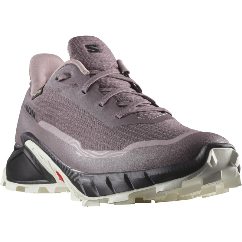 Salomon Alphacross 5 GTX EU 42, Moonscape/Black/White Dámské boty