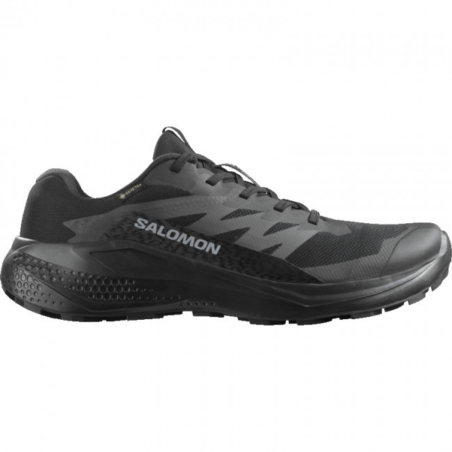 Salomon Alphaglide GTX, běžecké boty, pánské, černé