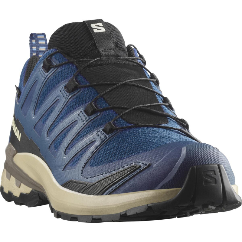 Salomon Xa Pro 3D V9 GTX EU 42 ⅔, Poseidon/White Pepper/Falcon Pánské boty