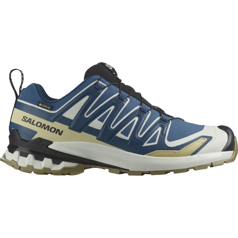 Salomon XA Pro 3D V9 GTX, pánské trailové boty, modrá