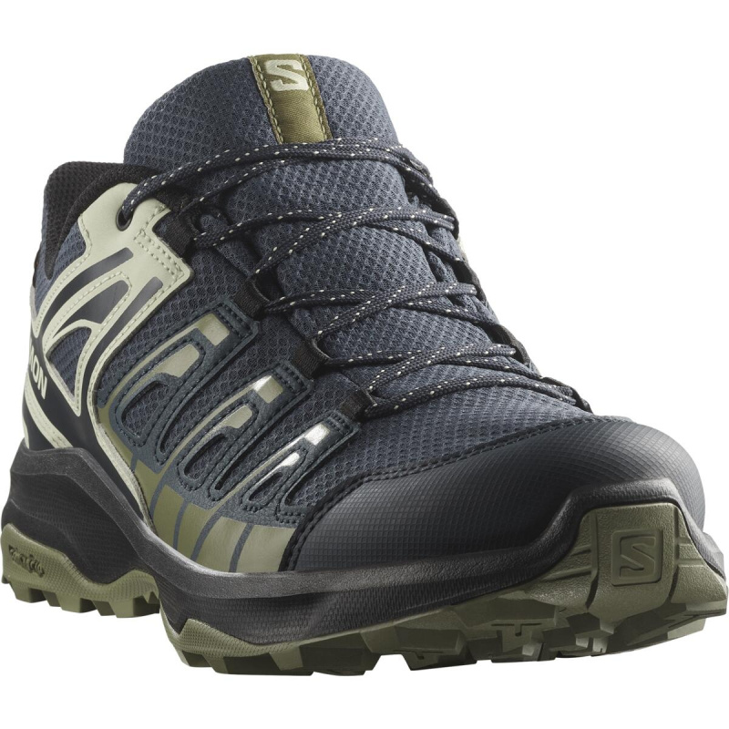 Salomon EXTEGRA GTX EU 43 ⅓, Blue Nights/Alfafal/Martini Olive Pánské boty