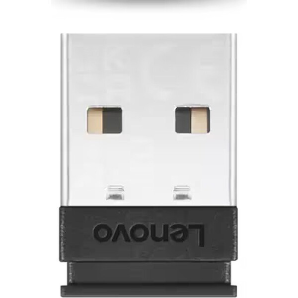 Lenovo 4XH1D20851 Černá