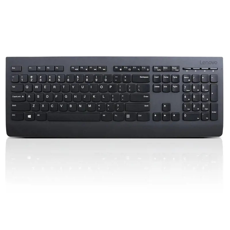 Lenovo Professional Wireless Keyboard/Bezdrátové USB/CZ/SK/Černá