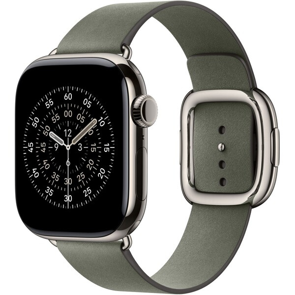 Apple Watch 42/41/40/38mm šalvějově šedý řemínek s moderní přezkou střední