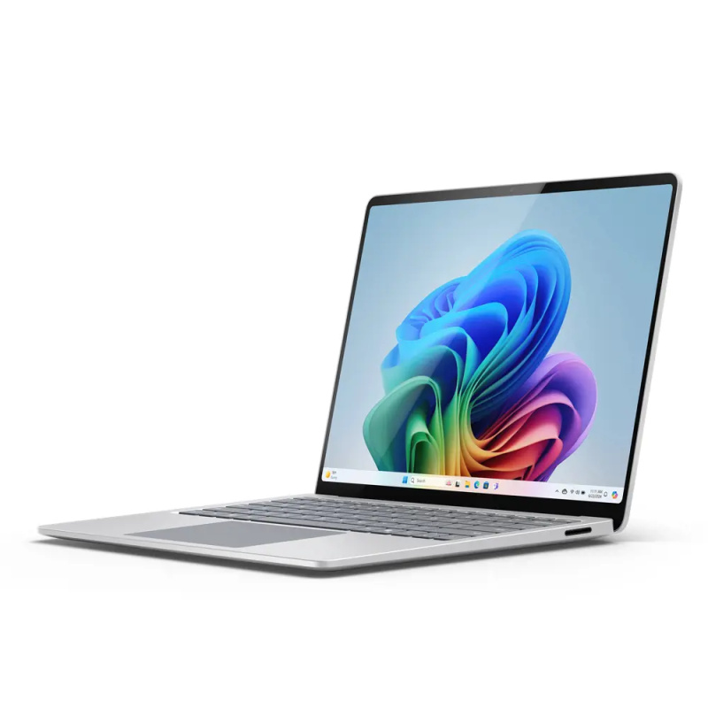 Microsoft ZGX-00009 Platinová