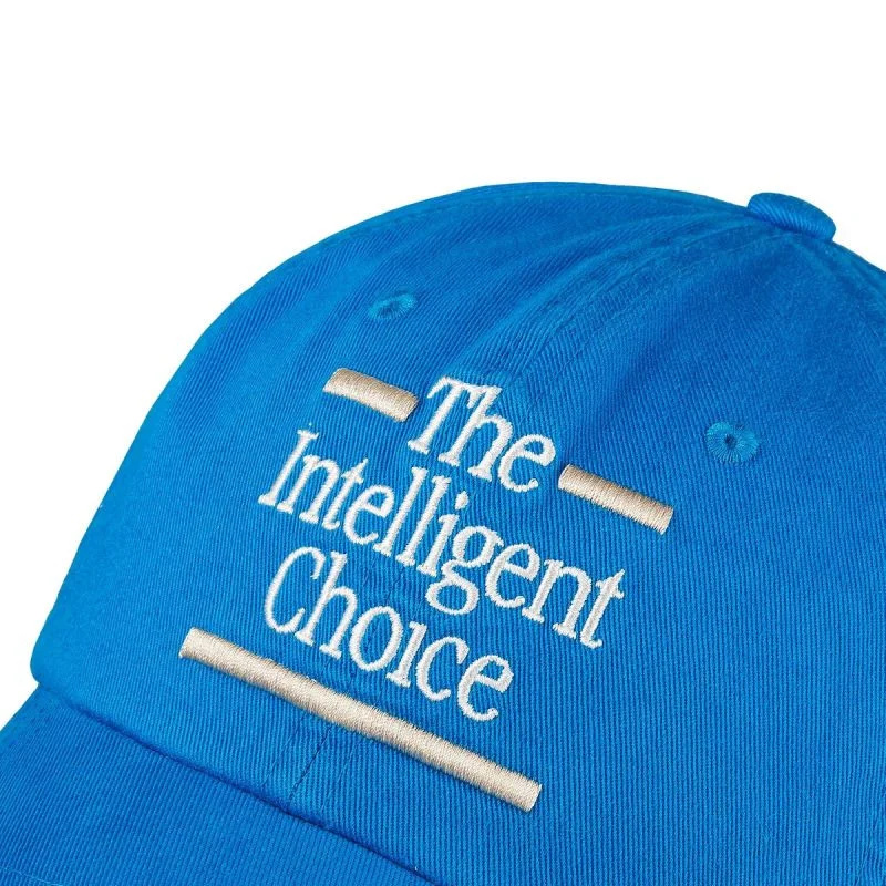 New Balance 6 Panel The Intelligent Choi baseballová čepice LAH43017BUL dámské Univerzální