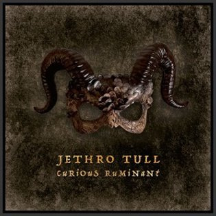 Jethro Tull:  Curious Ruminant / Booklet LP - Jethro Tull