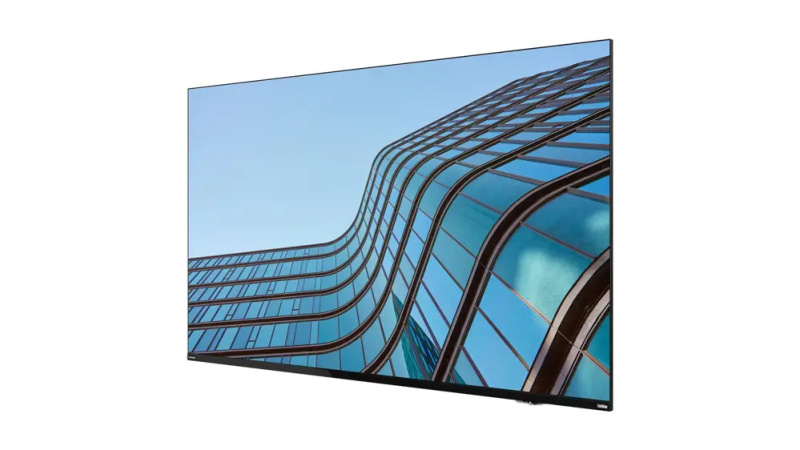 Lenovo ThinkVision E55 LFD 64A9GAT1EK Černá