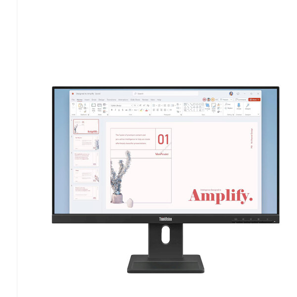 Lenovo ThinkVision E24-40 Černá