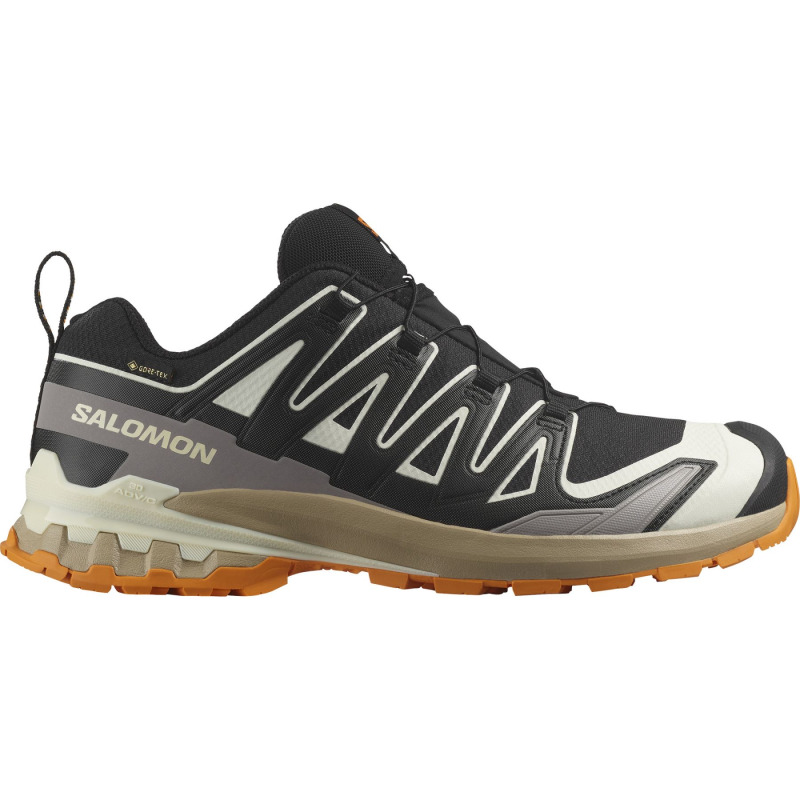 Salomon XA Pro 3D V9 GTX, trailové boty, pánské, černé