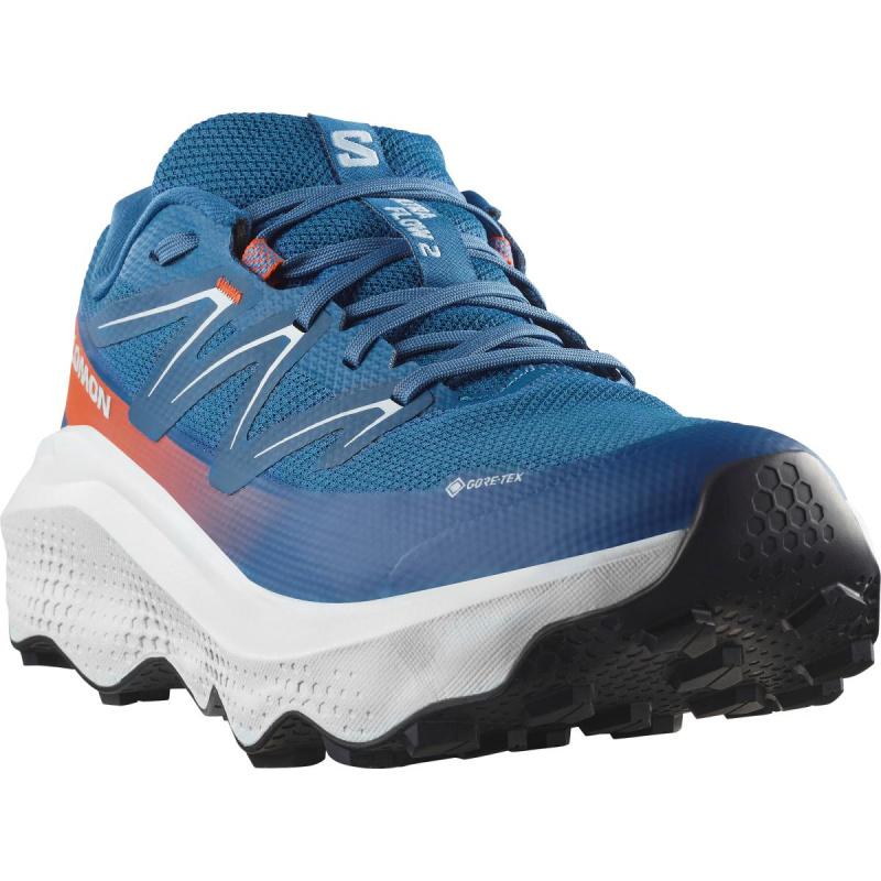 Salomon ULTRA FLOW 2 GTX EU 42 ⅔, Dark Blue/Ballad Blue/Cherry Tomato Pánské boty