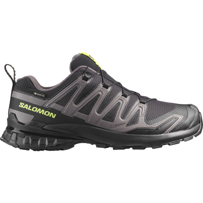 Salomon XA PRO 3D V9 GTX, trailové boty, pánské, černá/zelená