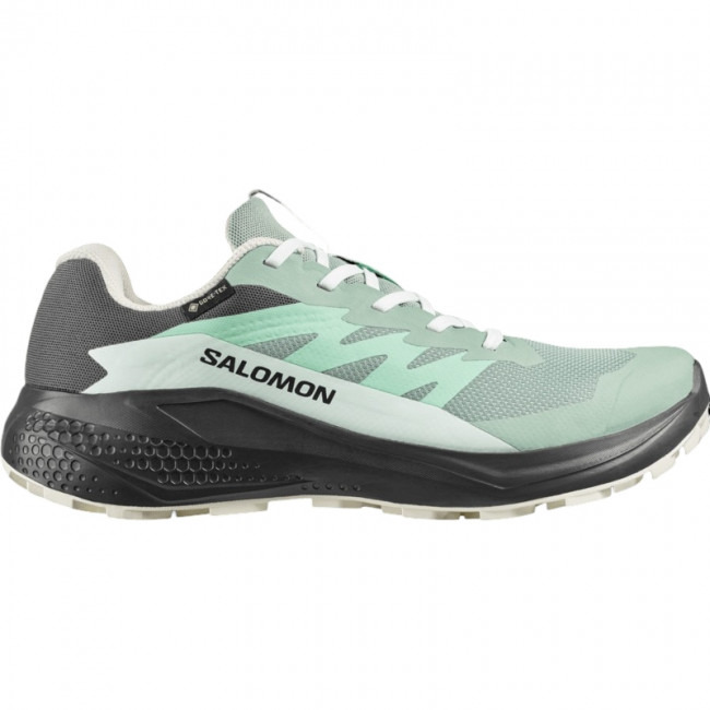 Salomon Alphaglide GTX, běžecké boty, dámské, zelená/šedá