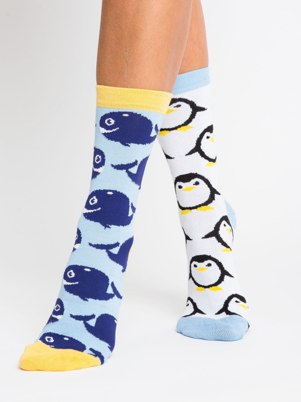 Ponožky WS SR 5542.08X vícebarevné 36-40