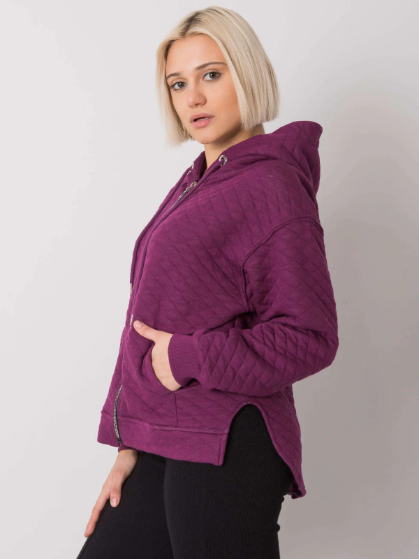 Mikina RV BL 7451.23 tmavě fialová L/XL