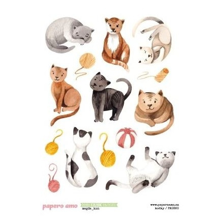 Samolepky A6 - Kočky