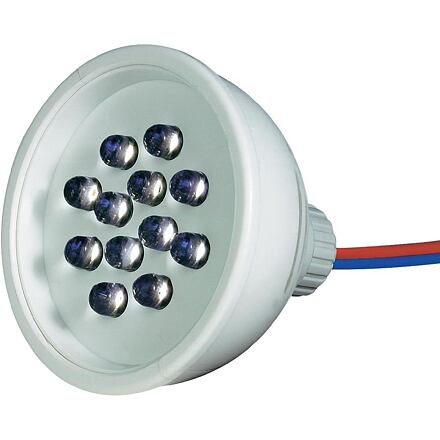 Signal Construct LED SPOT 50mm CERV. 12 LED 24V V AC IP67