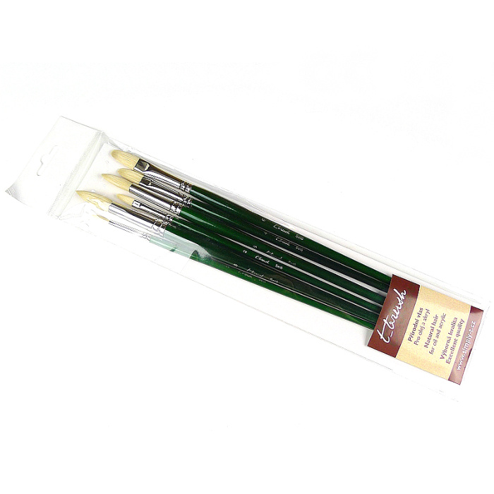 Štětce kulaté a ploché přírodní vlas sada č.06 (6ks)