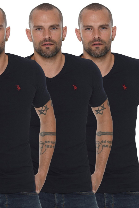 pánské tričko dewberry