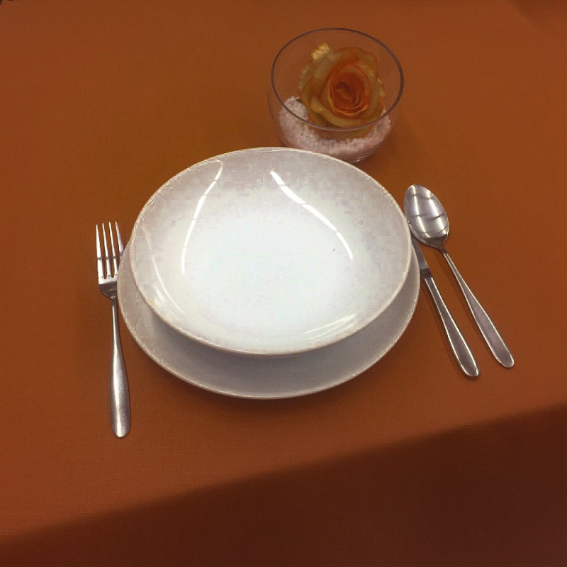 Olzatex Nešpinivý / teflonový látkový ubrus UNI 3095 SKOŘICOVÁ, průměr 160cm (kruh)