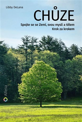 Chůze