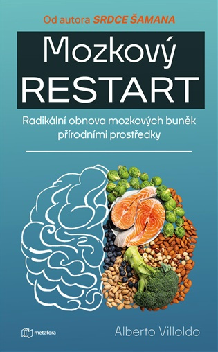Mozkový restart