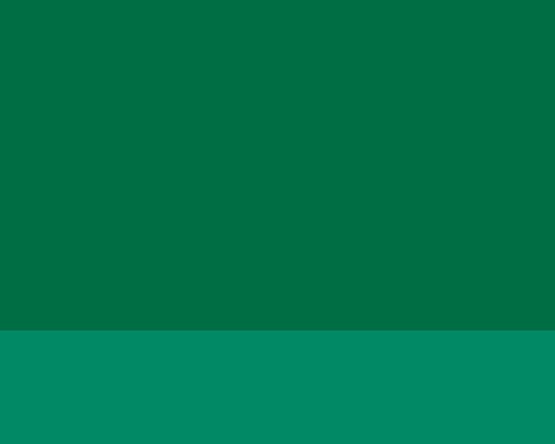 Olejová barva Lefranc 40ml – 728 Japanese Green Medium