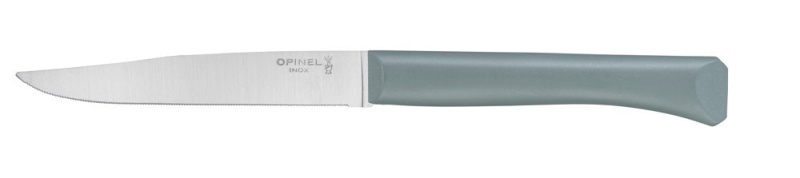 Opinel Bon Appetit steakový nůž s polymerovou rukojetí, šalvějový, čepel 11 cm 2195