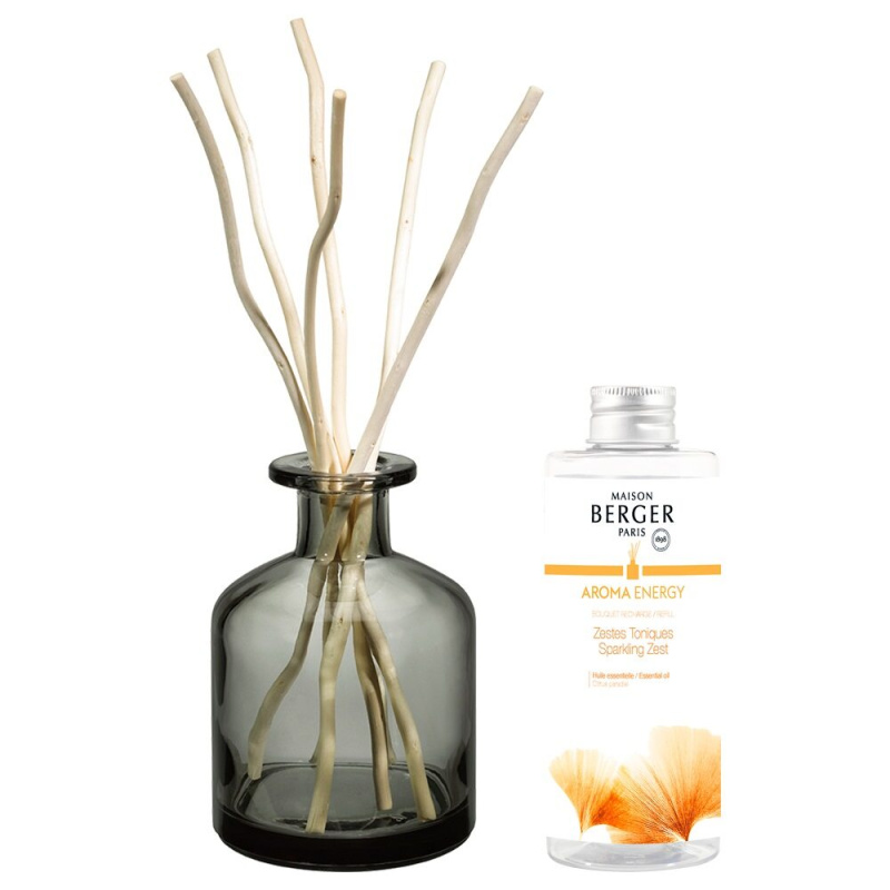 Maison Berger Paris Difuzér s vrbovými tyčinkami + náplň Aroma Energy – Čerstvé tonikum 180 ml 7717