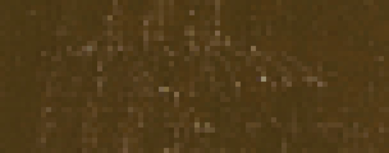 Olejová barva Pébéo XL 37ml – 30 van dyck brown
