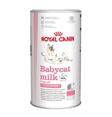 ROYAL CANIN Babycat Milk 300 g