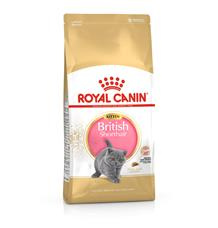 ROYAL CANIN British Shorthair Kitten 10 kg