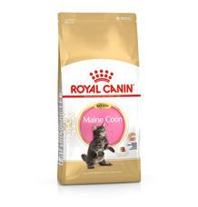 ROYAL CANIN Maine Coon Kitten 10 kg