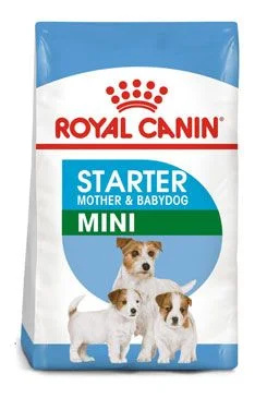 ROYAL CANIN MINI STARTER MOTHER&BABYDOG 8 kg
