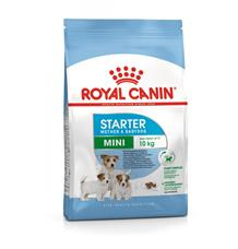 ROYAL CANIN MINI STARTER MOTHER&BABYDOG 4 kg