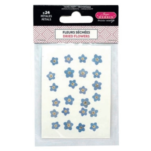 Sušené lisované květiny (24ks) modré pomněnky