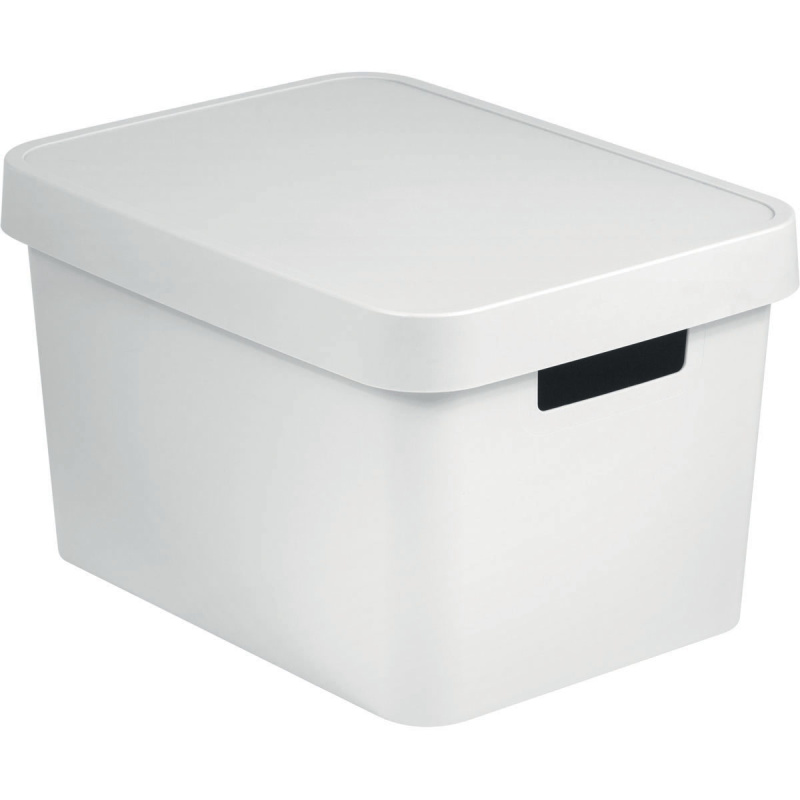 Box s víkem Infinity 17l 229245 bílý