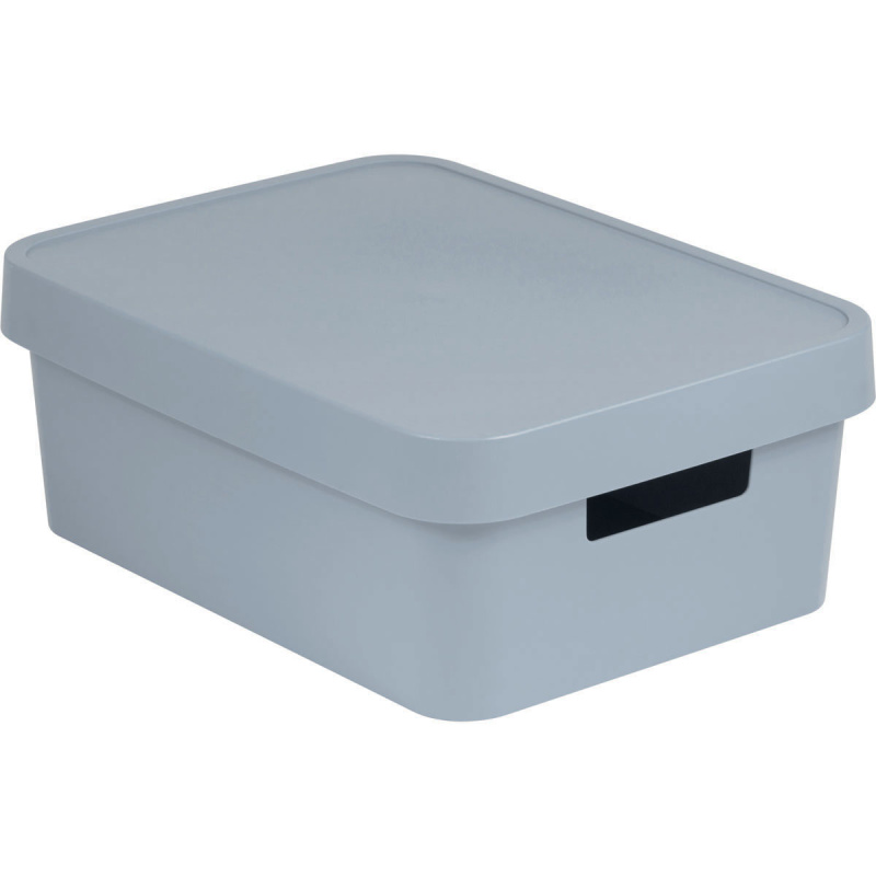 Box s víkem Infinity 11l 229246 sv. šedý
