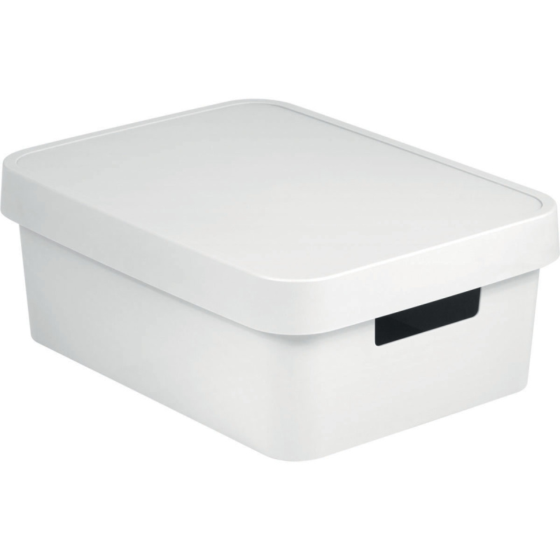 Box s víkem Infinity 11l 229282 bílý