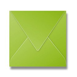 Barevná obálka Clairefontaine 165 × 165 mm, olizová, 20 ks zelená